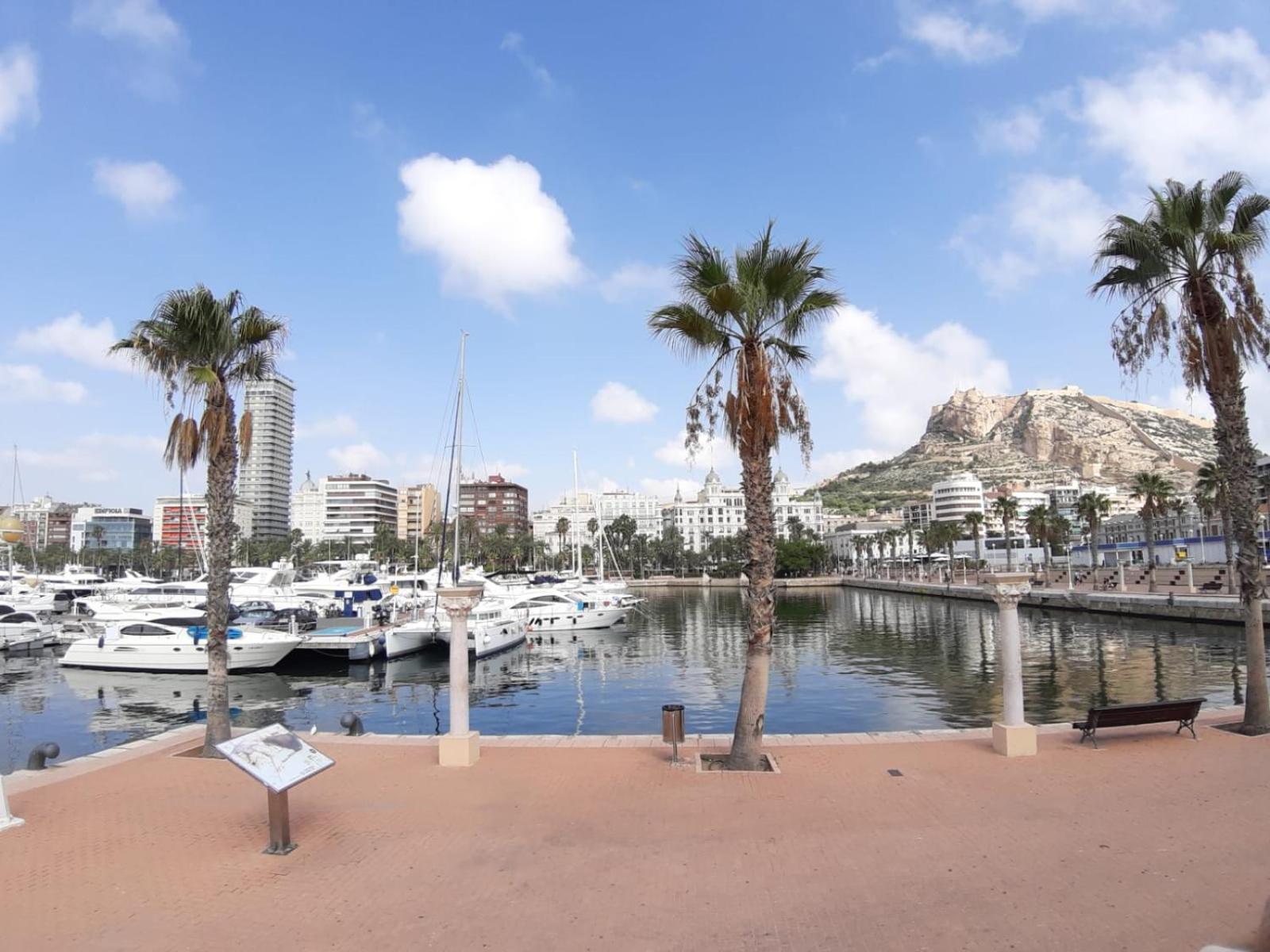 Apartamento Grande-Centro Barrio Playa Alicante Exteriér fotografie